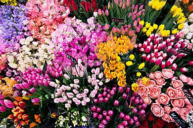 《守望先锋2》第16赛季开幕 第3大新模式以及英雄上线