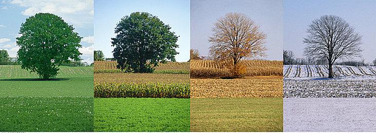 《合金装备》系列已售出超过5980万份